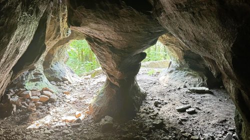 A rocky cave entrance with sunlight streaming in, revealing a forested area outside.
