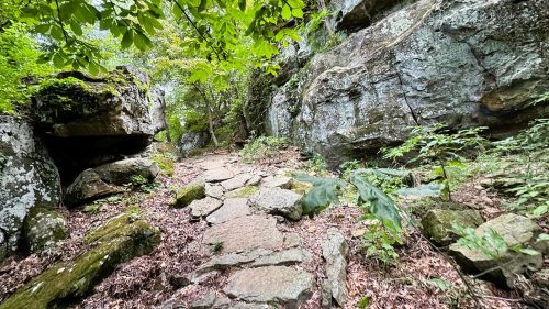 A rocky path winds through a lush forest, flanked by large boulders and greenery.