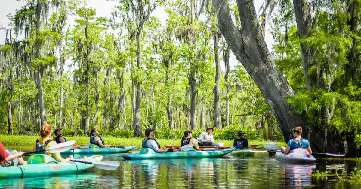 Skip the Hikes and Try This Louisiana Kayaking Trail Instead