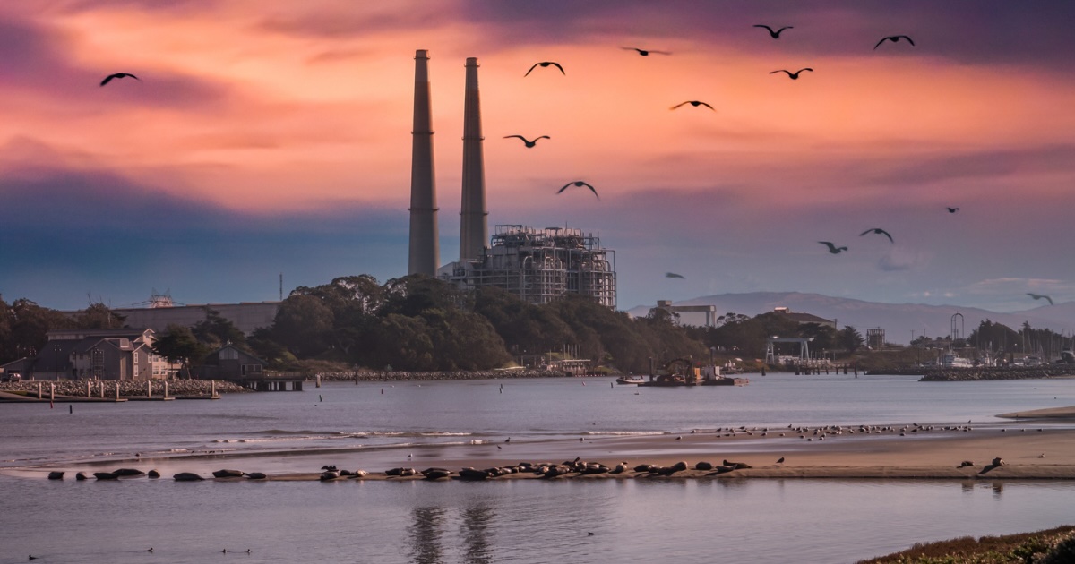 One of Northern California’s Quirkiest Towns Is Still Flying Under the Radar