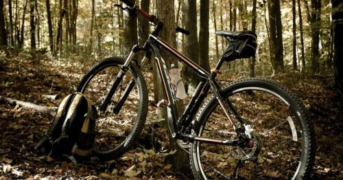A mountain bike against a tree in a forest similar to South Dakota