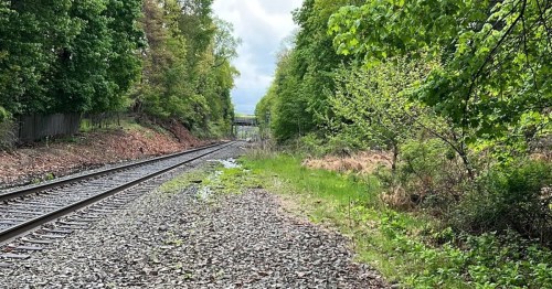 Railroad tracks running beside dense greenery near the West Essex Rail Trail in New Jersey.