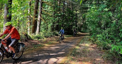 Cyclists riding through sunlit forest on the Banks Vernonia State Trail in Oregon.