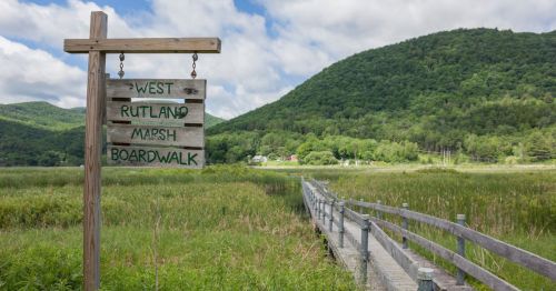 A green marsh with green hills in the background can be seen with a boardwalk cutting through it in Rutland, Vermont. A sign sits in front reading 'West Rutland Marsh Boardwalk.'