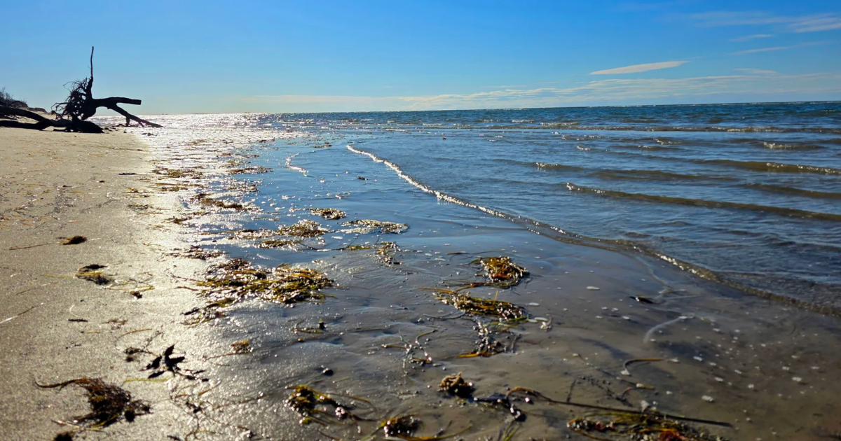 This Famous Dune Hike in Virginia Has a Feature You Won’t Want to Miss