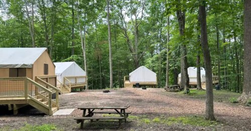 White tents on platforms arranged in a semi-circle with green trees in the background and a picnic table visible.