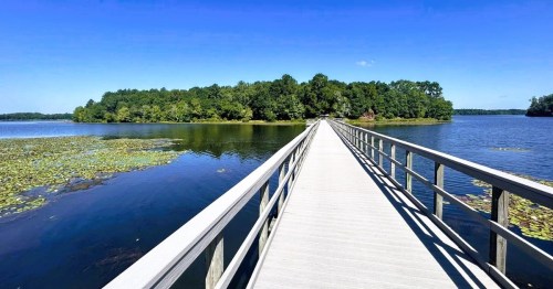 A boardwalk spanning across a lake leading to an island at Frank Jackson State Park in AL.