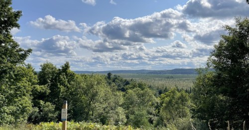 High-angle overlook of lush green forests and rolling hills under big clouds in Cedar, MI.