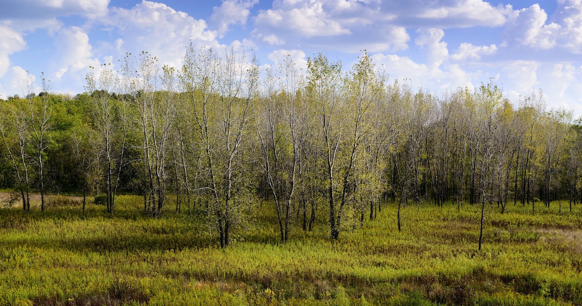 This Small-Town State Park in Iowa Feels Like a Local Secret