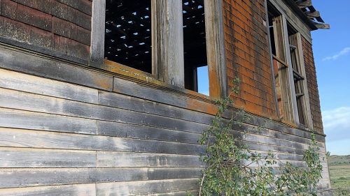 Abandoned building with broken windows and peeling paint, surrounded by overgrown vegetation under a clear blue sky.