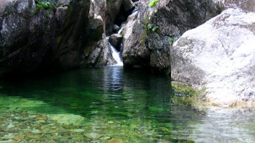A serene natural pool surrounded by rocks and trees, with a small waterfall in the background.