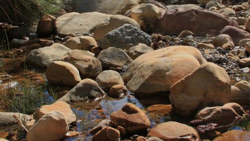A rocky stream bed with various sized stones and pebbles, surrounded by greenery and trees.