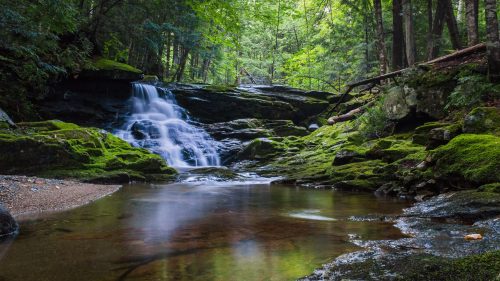 A serene forest scene featuring a small waterfall cascading over moss-covered rocks into a calm pool.