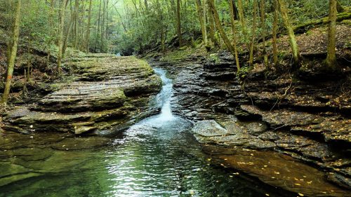 A serene forest scene featuring a small waterfall flowing over rocky terrain, surrounded by lush green trees.