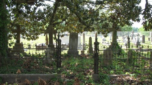 A serene cemetery scene with old gravestones surrounded by trees and overgrown grass, creating a peaceful atmosphere.