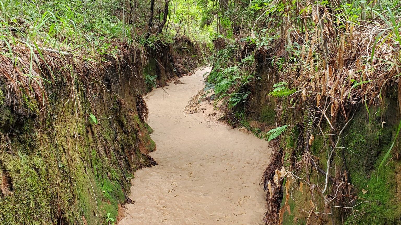 This 2.5-Mile Louisiana Trail Ends at a Little-Known Canyon