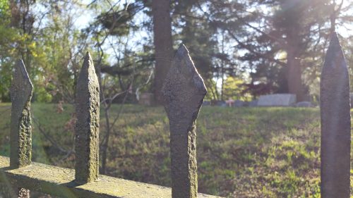 Close-up of a weathered iron fence with pointed tips, set against a blurred background of trees and a grassy area.