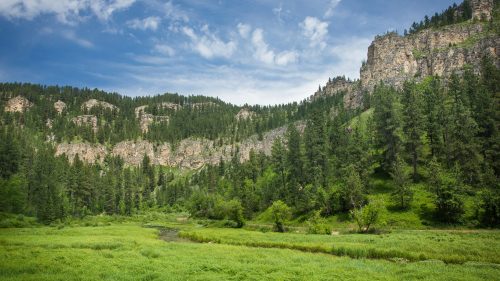 Lush green valley with a river, surrounded by rocky cliffs and dense pine forests under a blue sky with clouds.