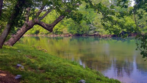 A serene river scene with lush green trees and calm water reflecting the landscape.