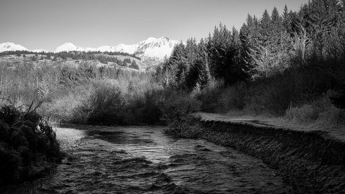 A serene black and white landscape featuring a river, trees, and snow-capped mountains in the background.