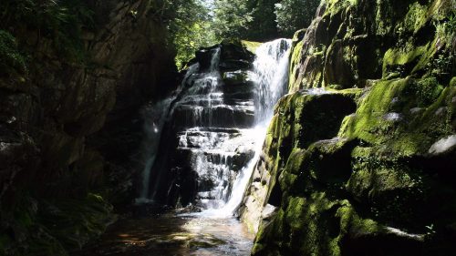 A serene waterfall cascades over moss-covered rocks in a lush, green forest. Sunlight filters through the trees.