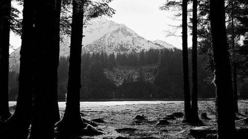 A black and white landscape featuring tall trees framing a snowy mountain and a calm lake in the foreground.