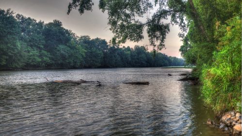 A serene river scene surrounded by lush trees, with calm water reflecting the soft light of dawn or dusk.