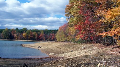 A serene lakeside scene with colorful autumn trees and a cloudy sky reflecting on the water.