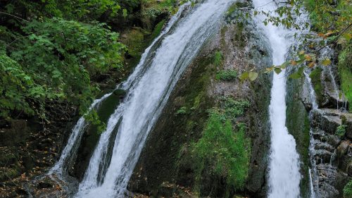 A serene waterfall cascading over moss-covered rocks, surrounded by lush green foliage.