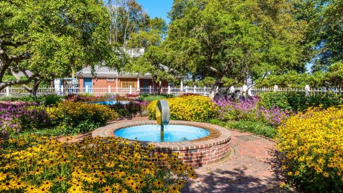 A vibrant garden with colorful flowers surrounding a circular fountain under a clear blue sky.