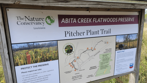 Sign for Abita Creek Flatwoods Preserve featuring a map of the Pitcher Plant Trail and guidelines for visitors.