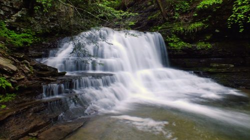 A serene waterfall cascades over rocks, surrounded by lush green foliage and trees in a tranquil forest setting.