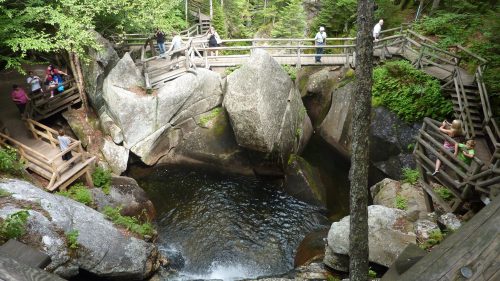 A scenic view of a rocky area with wooden walkways and a small pool of water surrounded by trees.