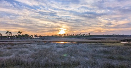 A sun setting in the distance over a marsh in Bald Point State Park, Florida.