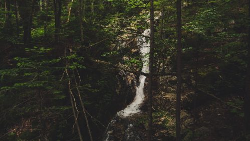 A serene waterfall cascades through a lush, green forest, surrounded by trees and rocky terrain.