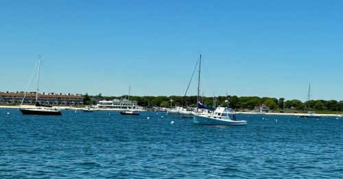 An image of boats floating in the Cape Cod Bay on a sunny day.