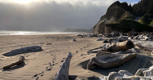 Cape Blanco Beach and its mysterious driftwood forest in the morning fog
