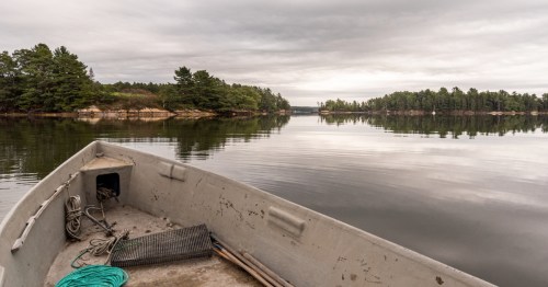 Rowboat with oyster gear on a quiet tidal cove at the Brunswick, Maine oyster farm guest suite.