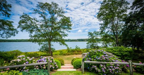 Gardens and Town Cove in Orleans, Massachusetts,and it's a beautiful, color garden space.