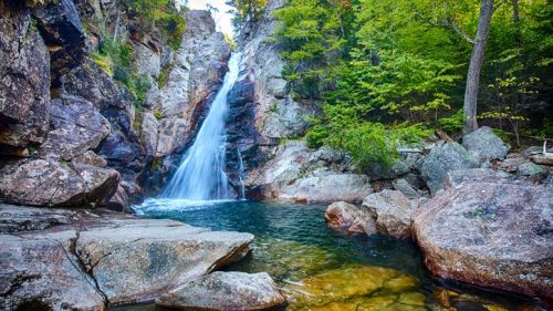A serene waterfall cascades over rocky cliffs into a clear pool, surrounded by lush green trees and vibrant foliage.