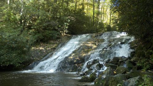 A serene waterfall cascades over rocks, surrounded by lush greenery and trees in a peaceful forest setting.