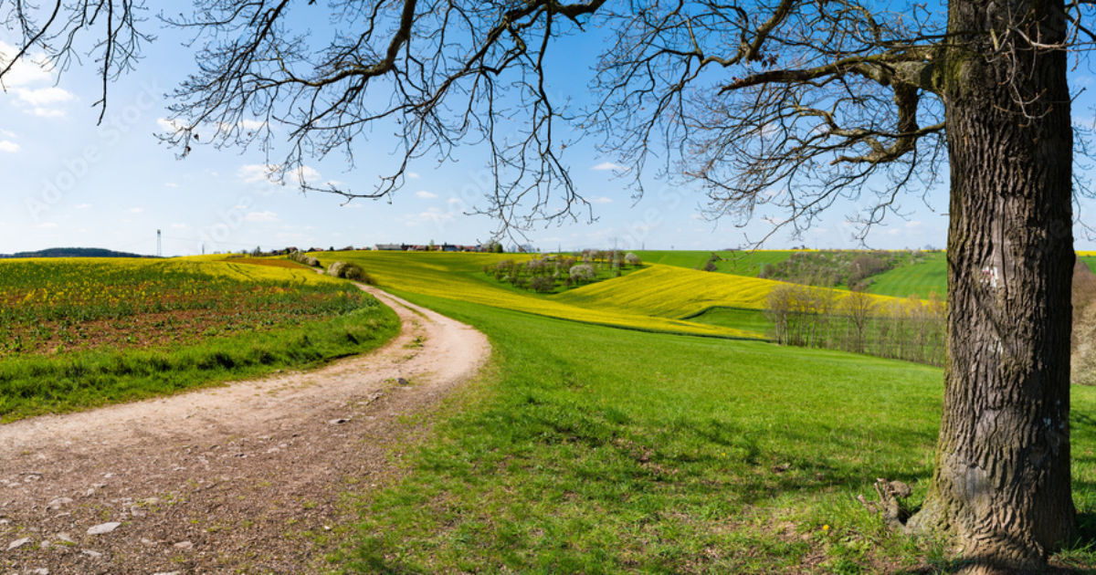 Skip the Hikes and Try This Kansas Rail Trail Instead
