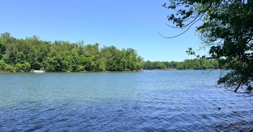A view of Lake Anna in Virginia, with banks of green trees in the background.