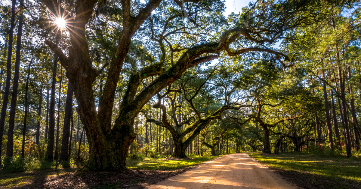 Five Louisiana Towns Perfect for Outdoor Adventures