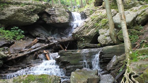 A serene waterfall cascading over rocks, surrounded by lush greenery and trees in a tranquil forest setting.