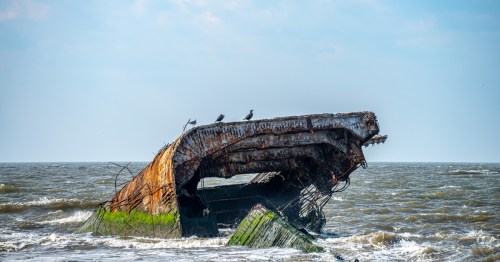 Birds sit on the remains of the sunken Atlantus shipwreck which sits in the waters off Sunset Beach in Cape May, New Jersey.