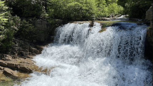A cascading waterfall surrounded by lush greenery and blooming flowers under bright sunlight.