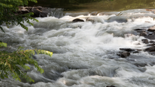 A flowing river with white water rapids and smooth rocks, surrounded by lush green foliage.