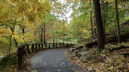 A winding path through a vibrant autumn forest, lined with colorful leaves and trees.