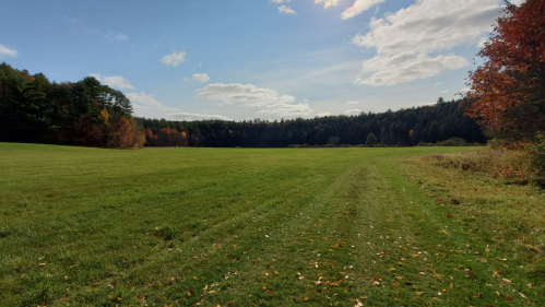 A sunny landscape featuring a grassy field, trees with autumn foliage, and a blue sky with scattered clouds.